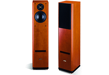 Usher V-602 Floorstanding Speaker